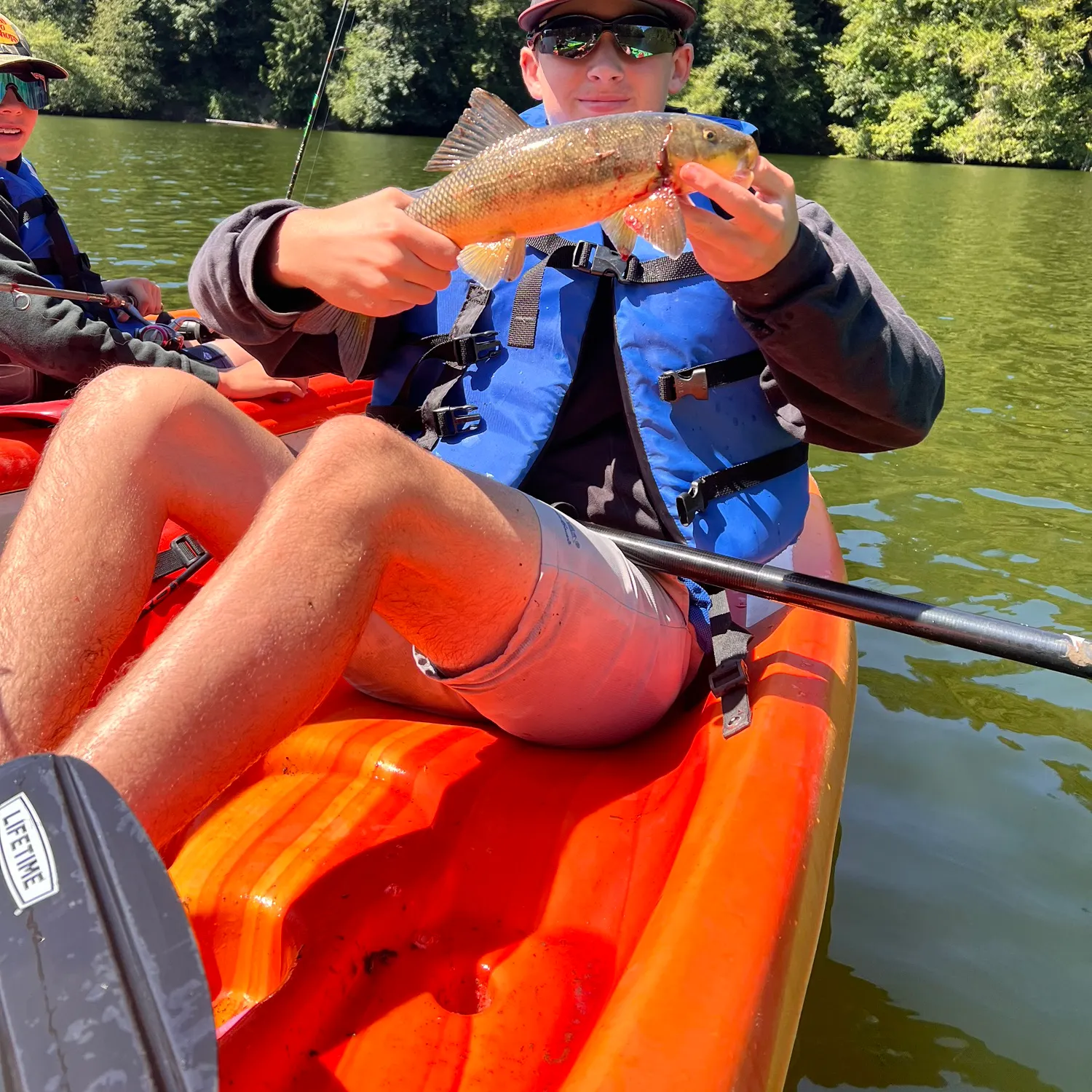 The most recent Largescale sucker catches on Fishbrain