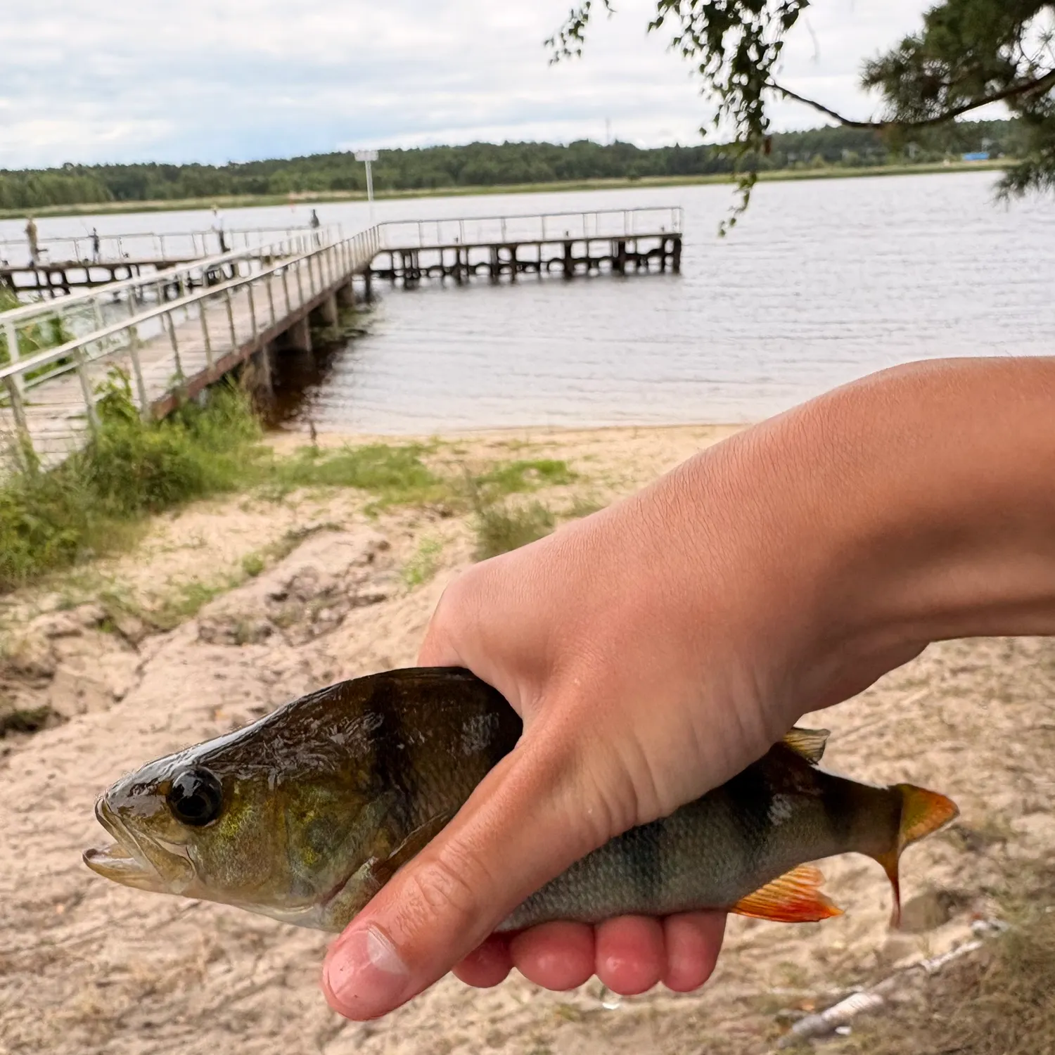 catch
