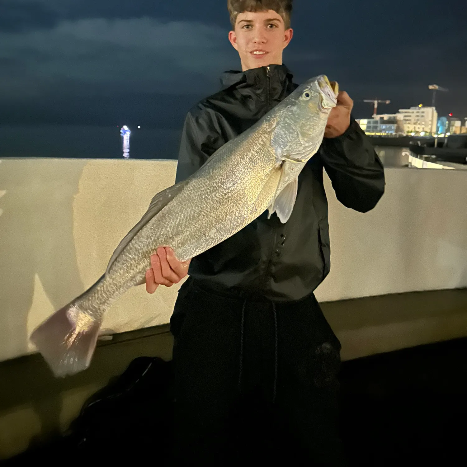 The most recent Corvina drum catches on Fishbrain