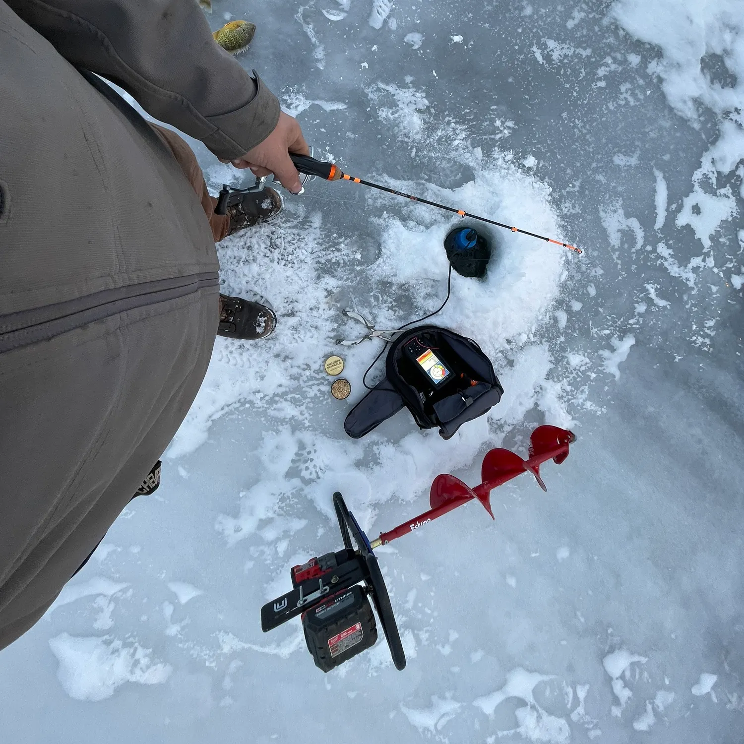 recently logged catches