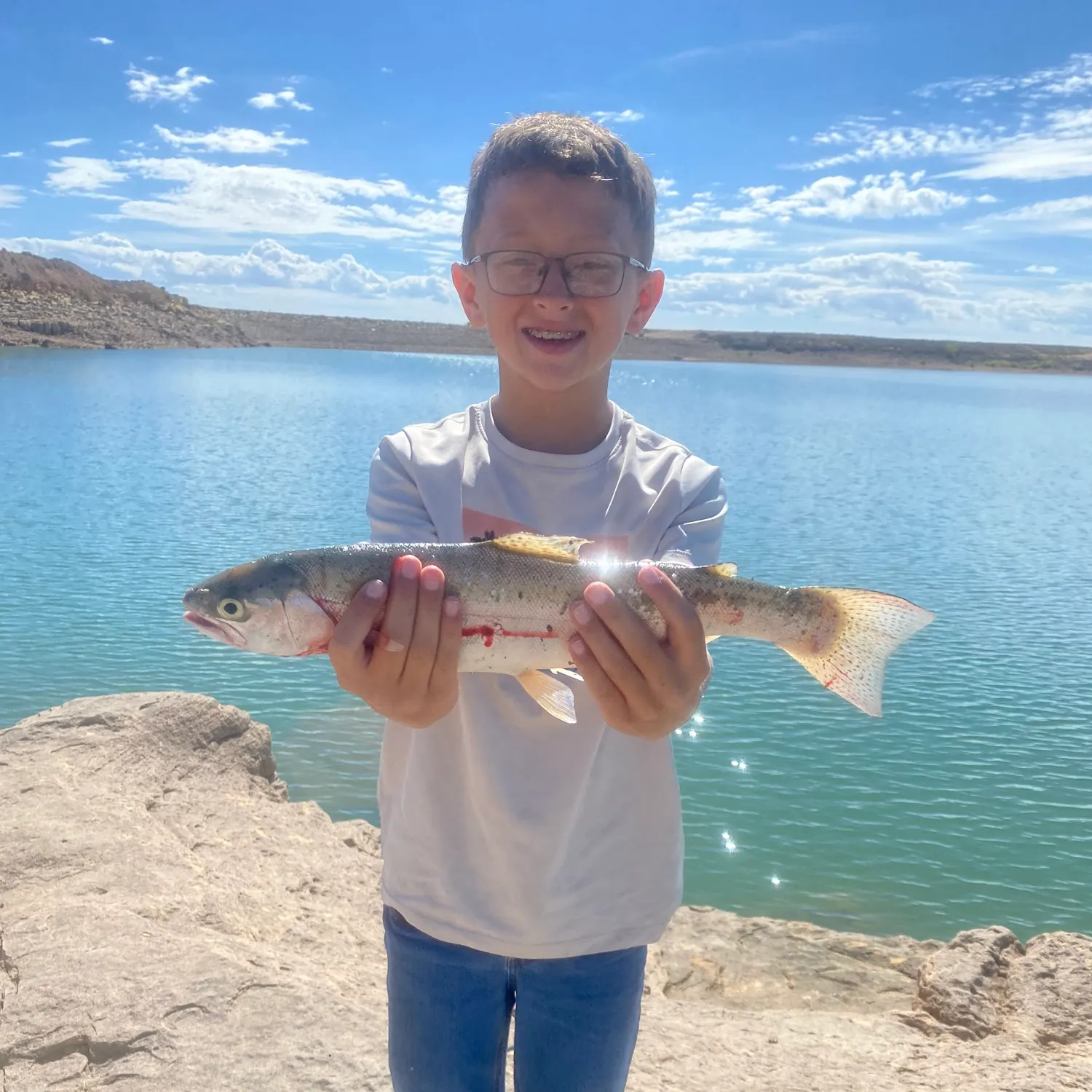 Rainbow trout caught on Fishbrain