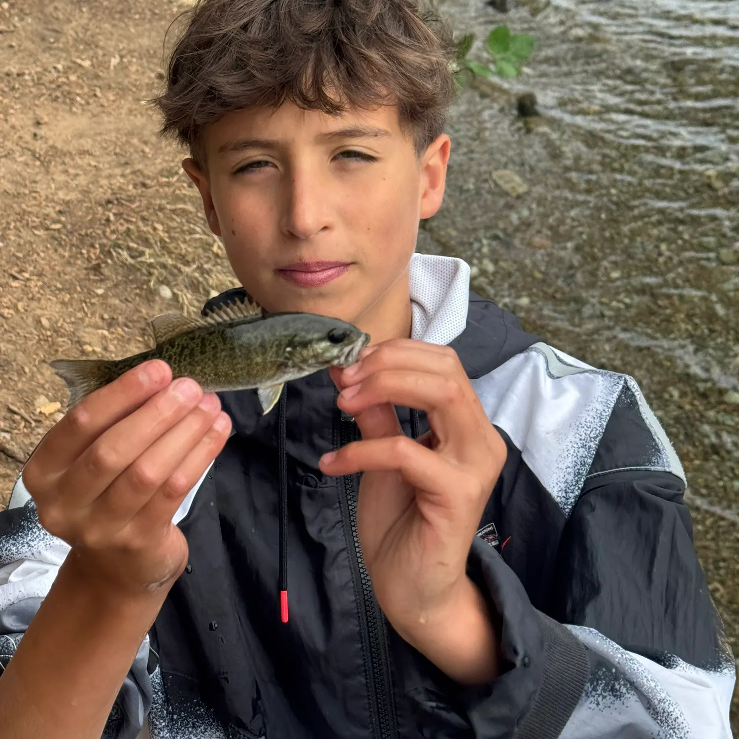 Smallmouth bass caught on Fishbrain
