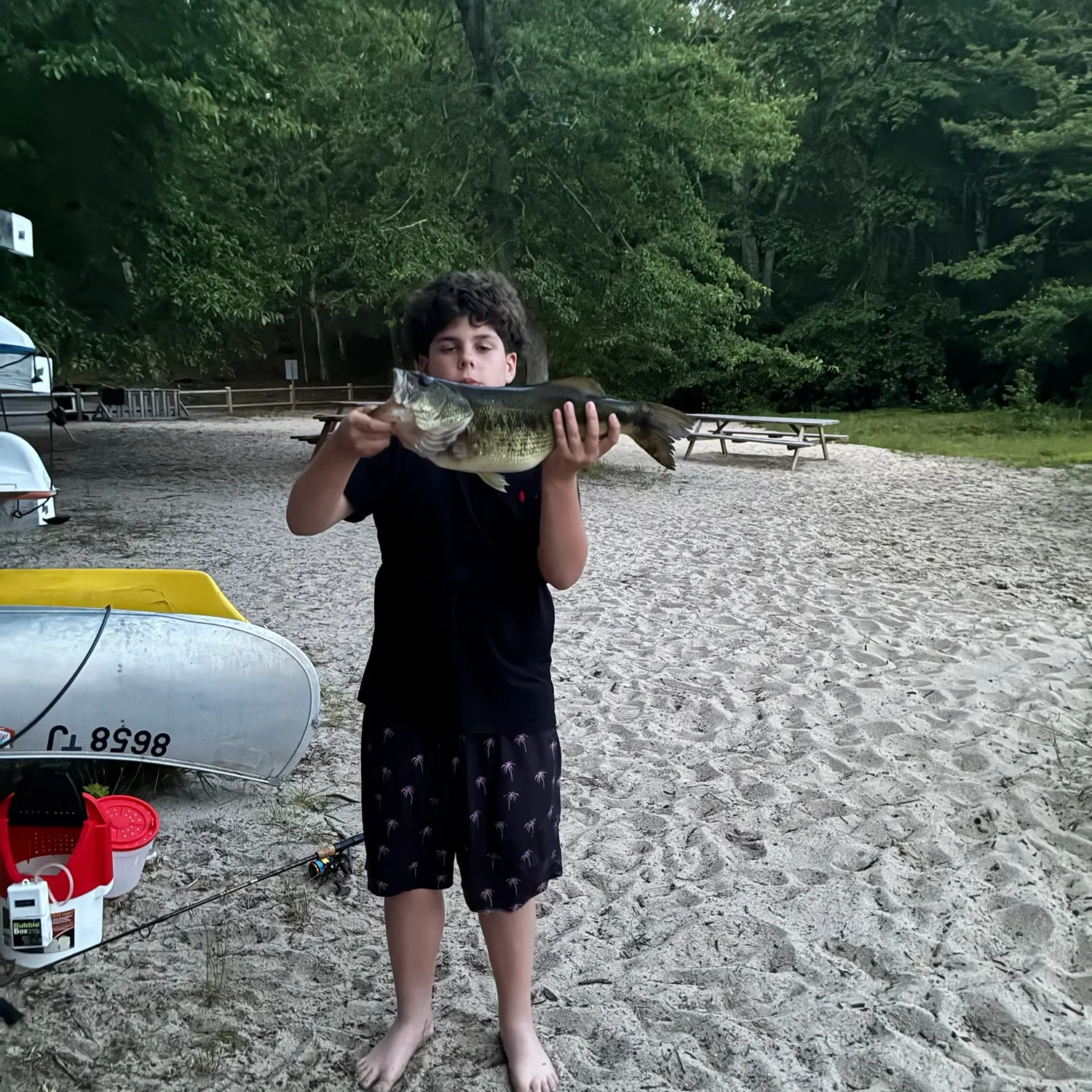 The most recent Cherry salmon catches on Fishbrain