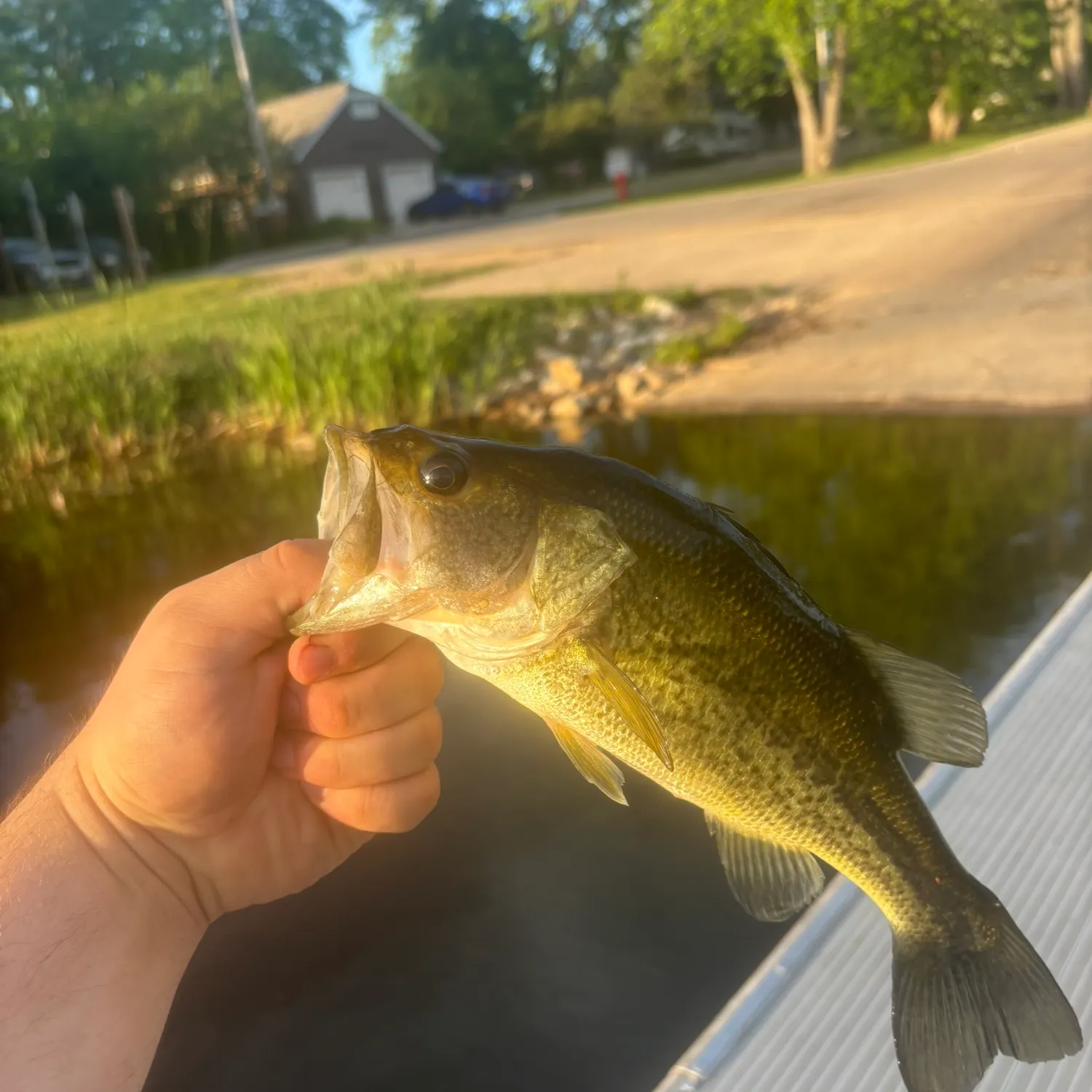 catch