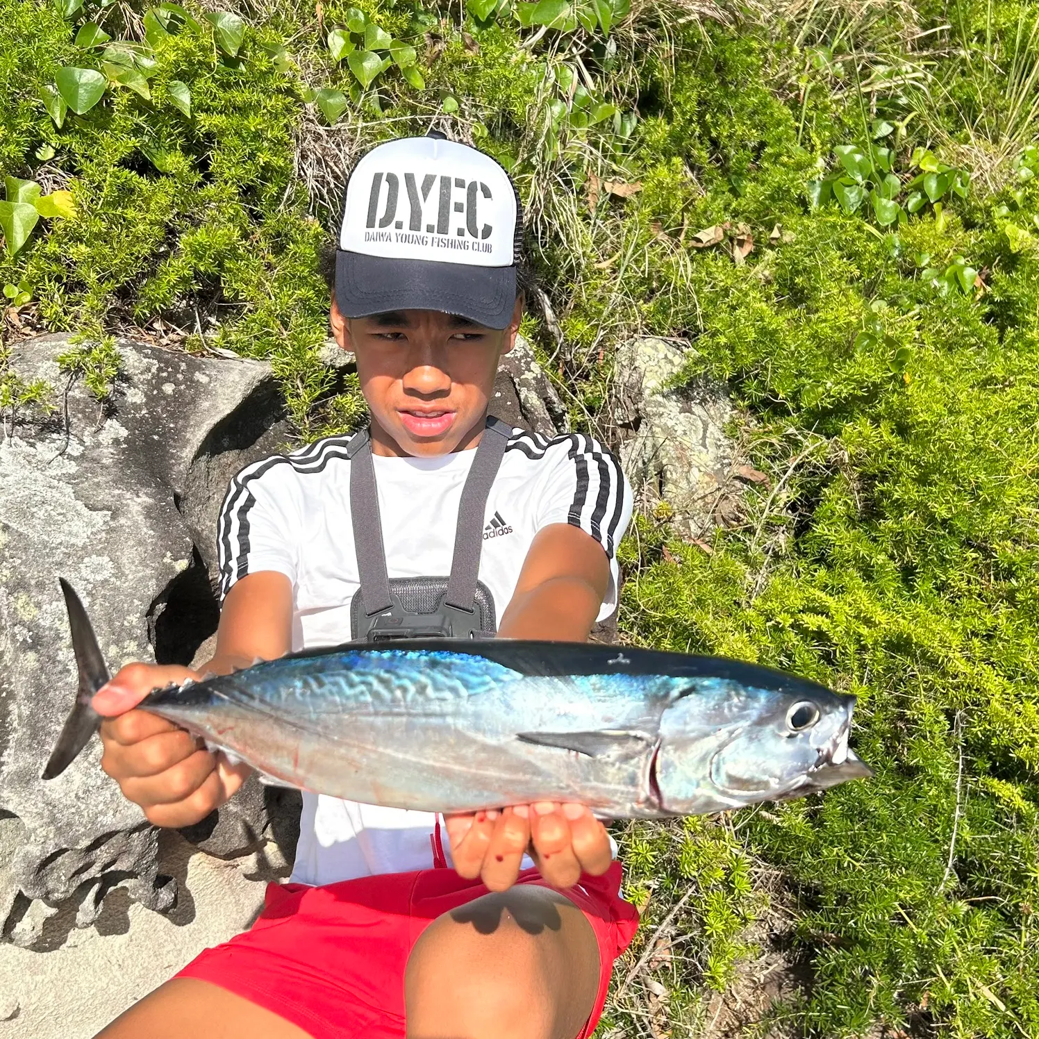 The most recent Frigate tuna catches on Fishbrain