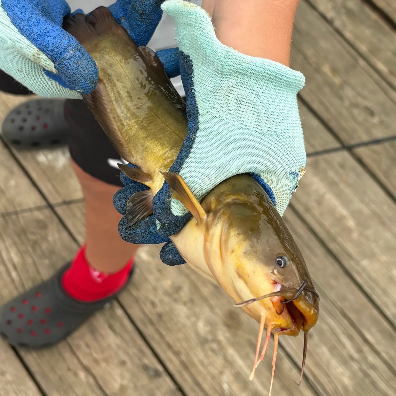 catch