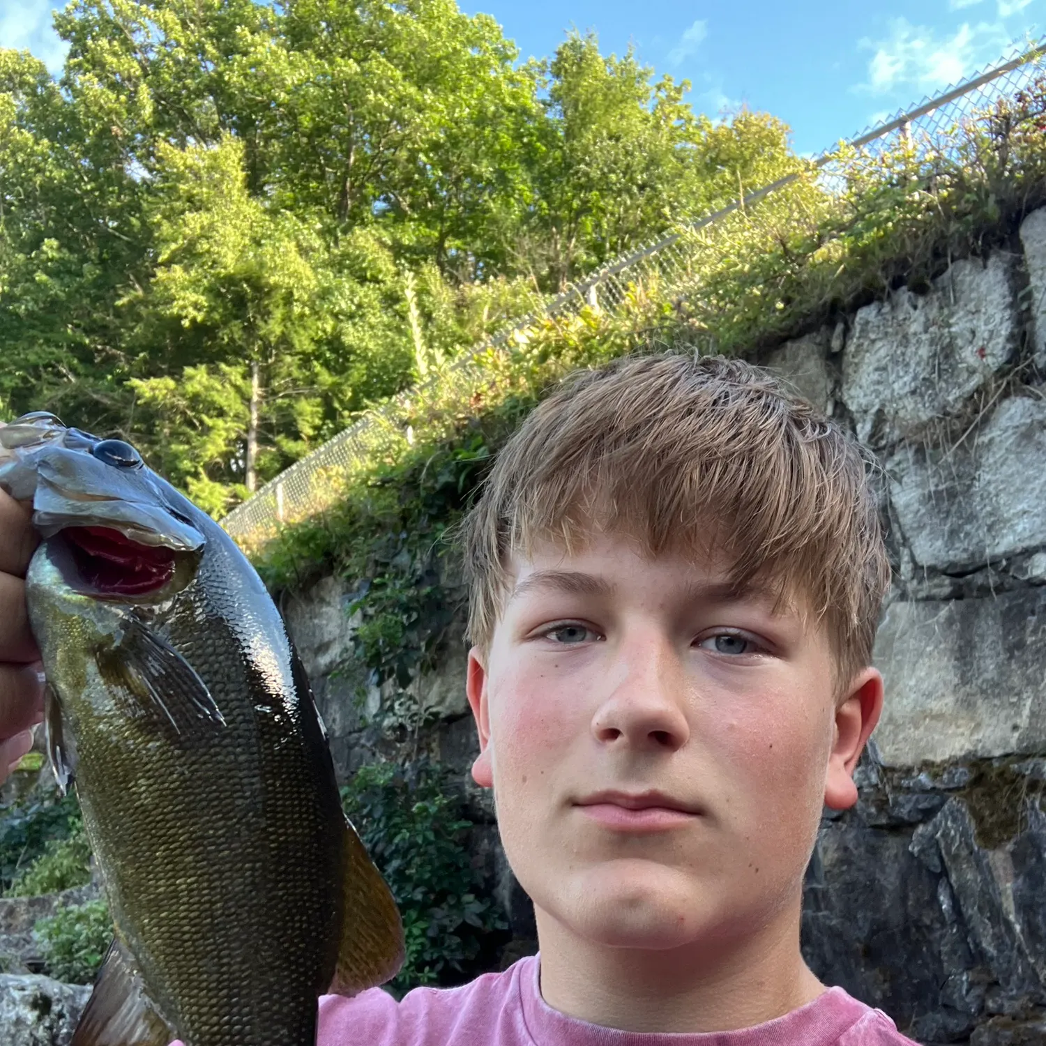 Smallmouth bass caught on Fishbrain