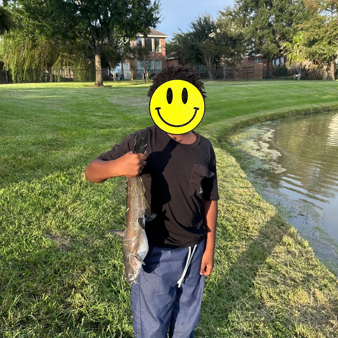 Channel catfish caught on Fishbrain
