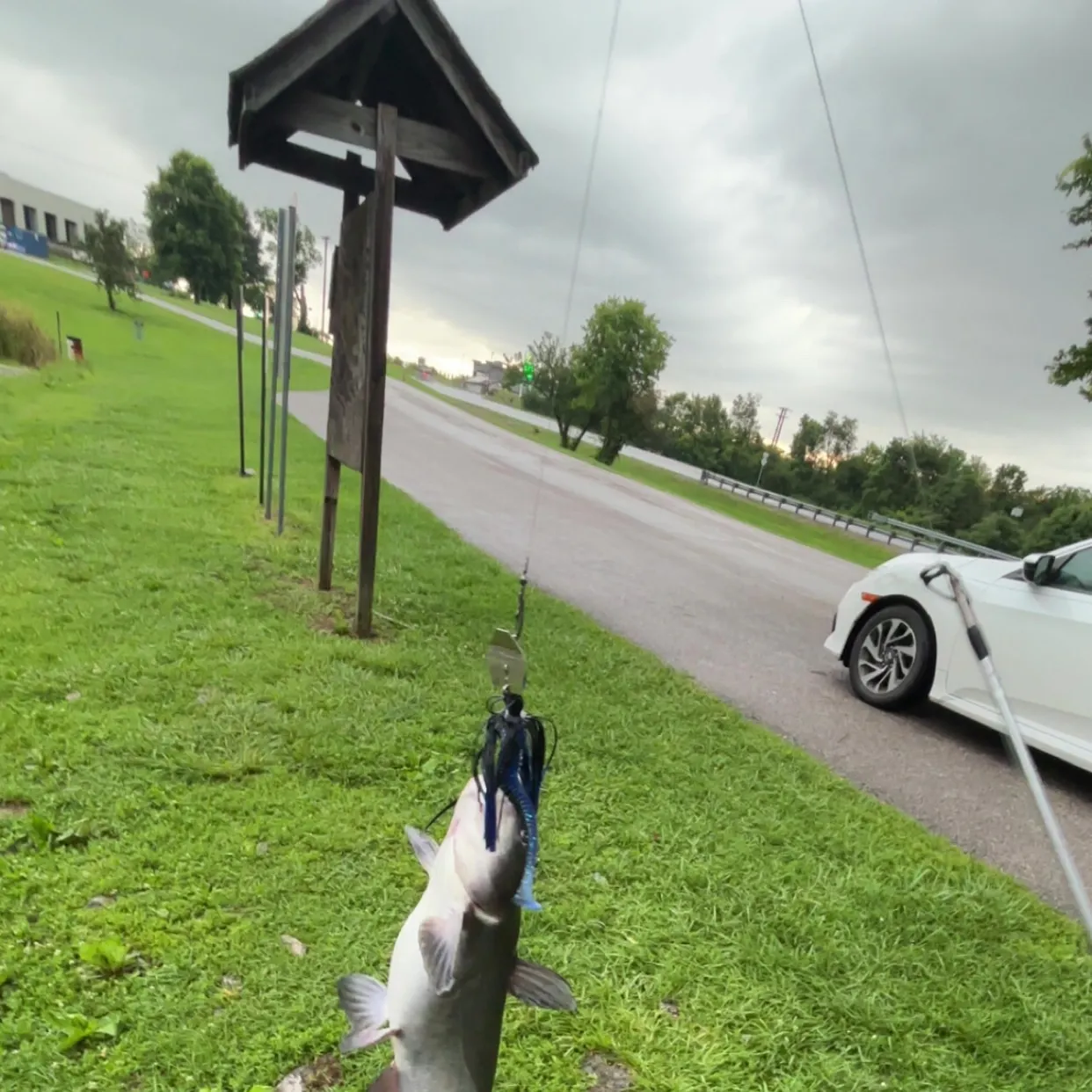 catch
