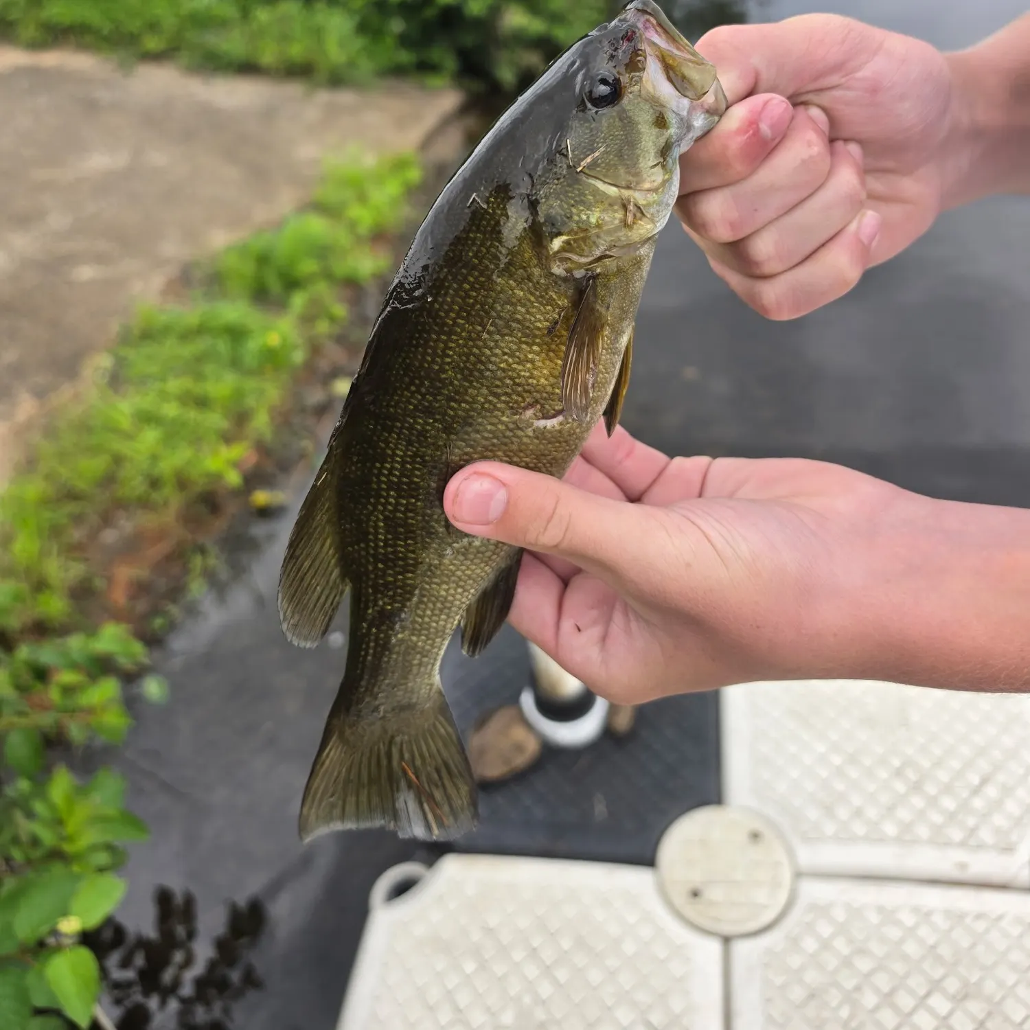 catch