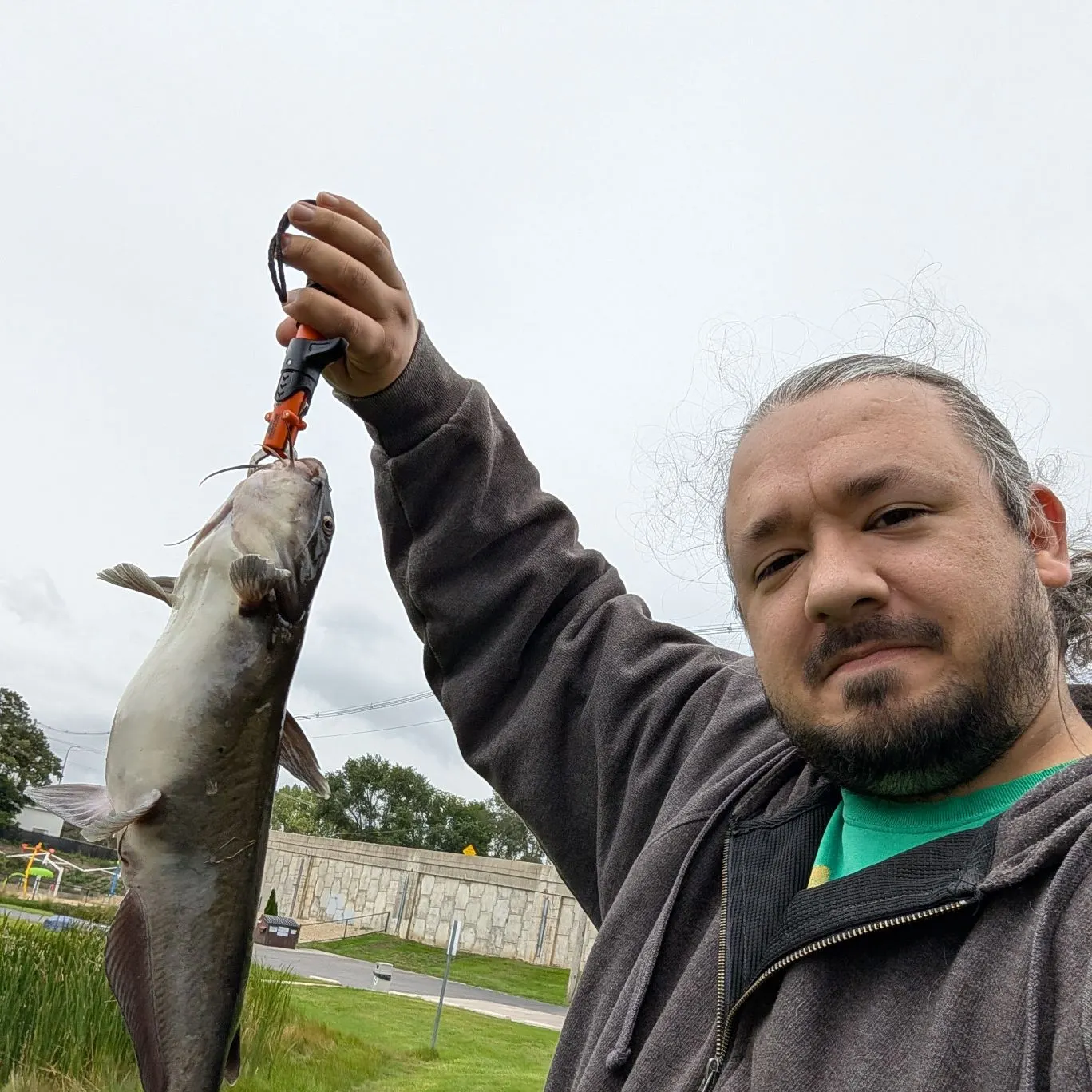 Channel catfish caught on Fishbrain