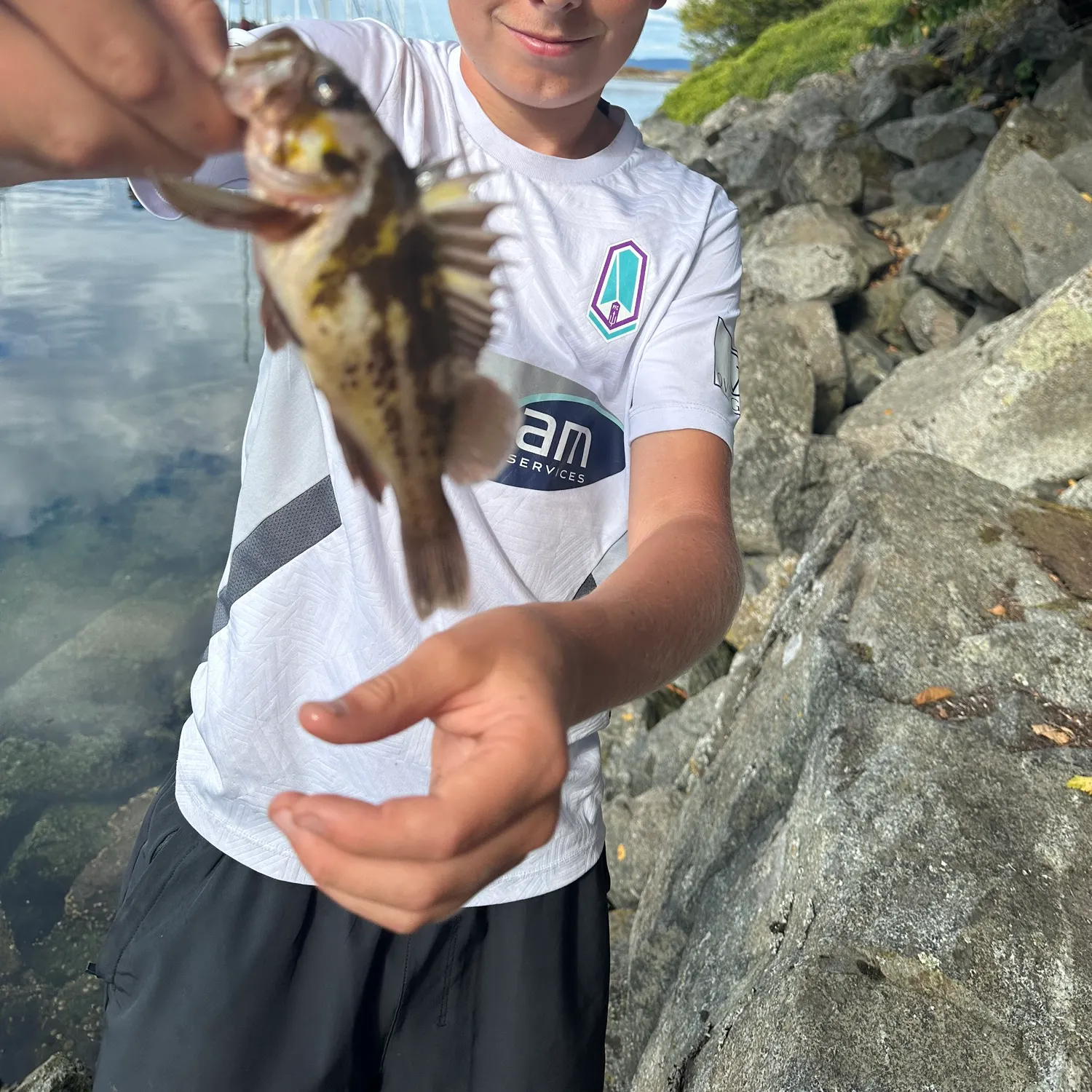 Copper rockfish caught on Fishbrain