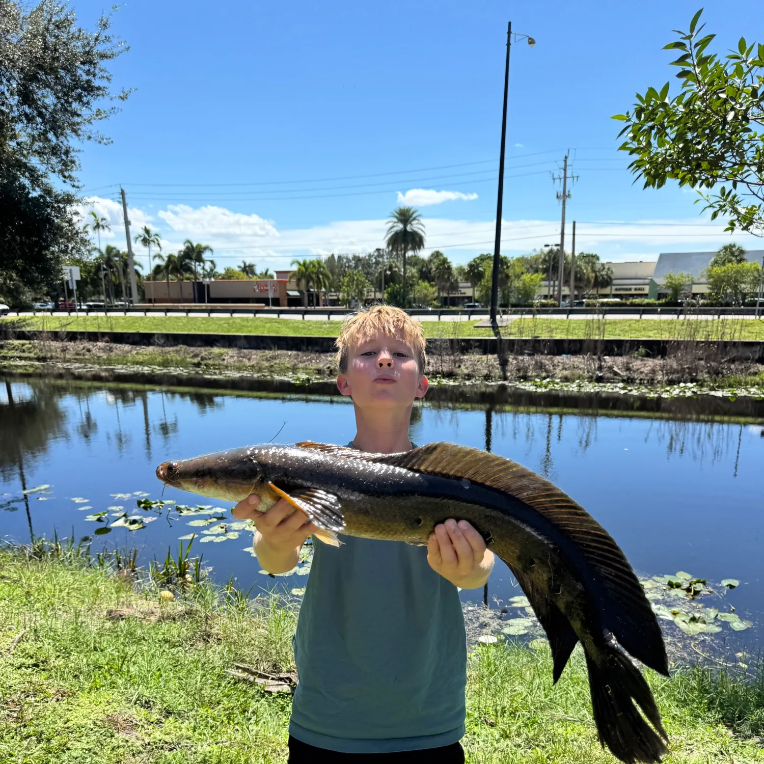 The most recent Bullseye snakehead catches on Fishbrain