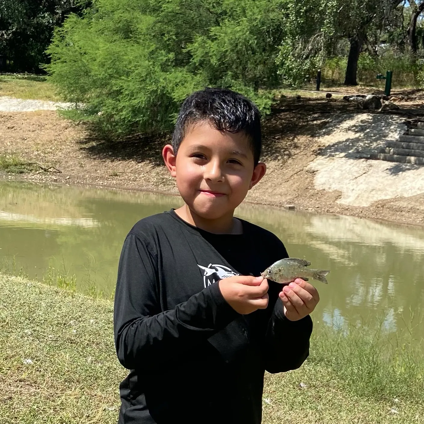 Bluegill caught on Fishbrain