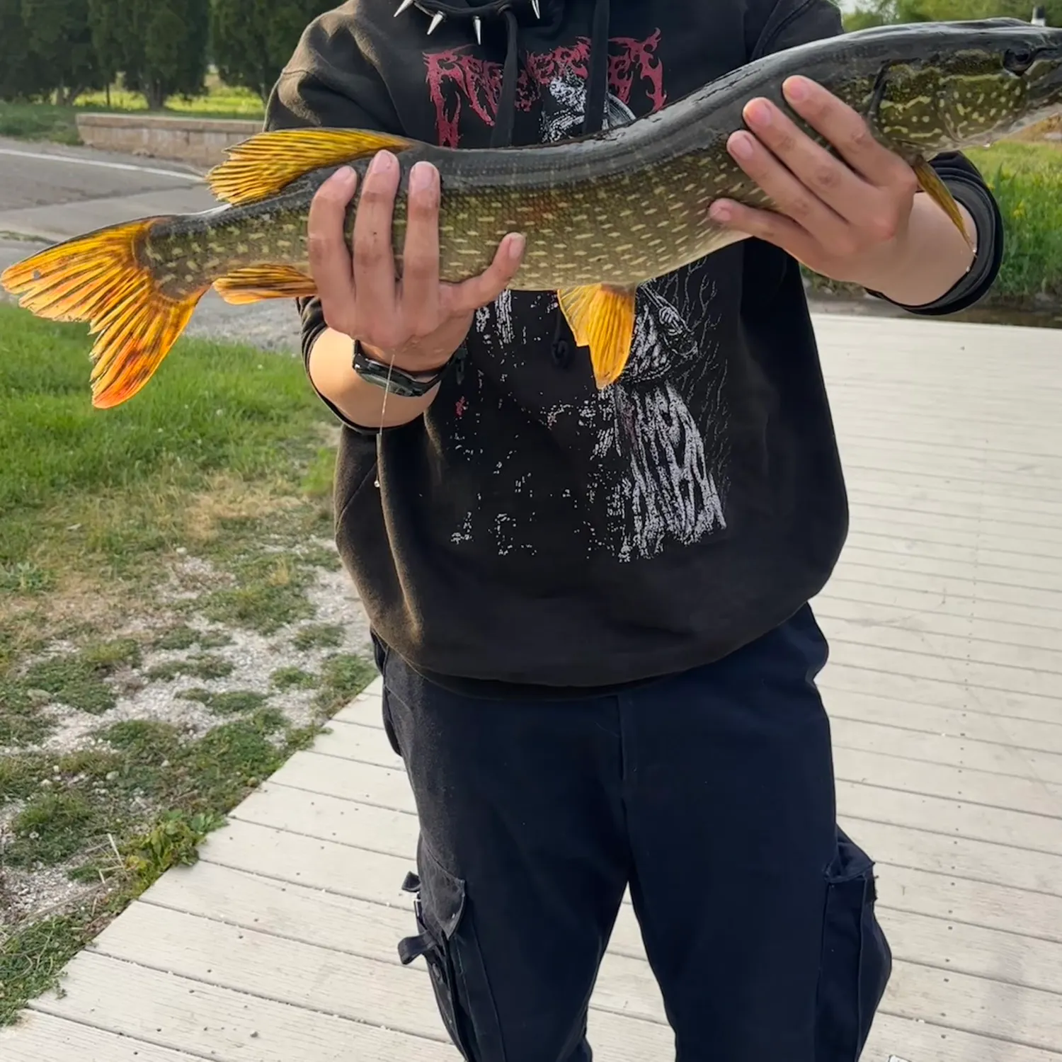 recently logged catches