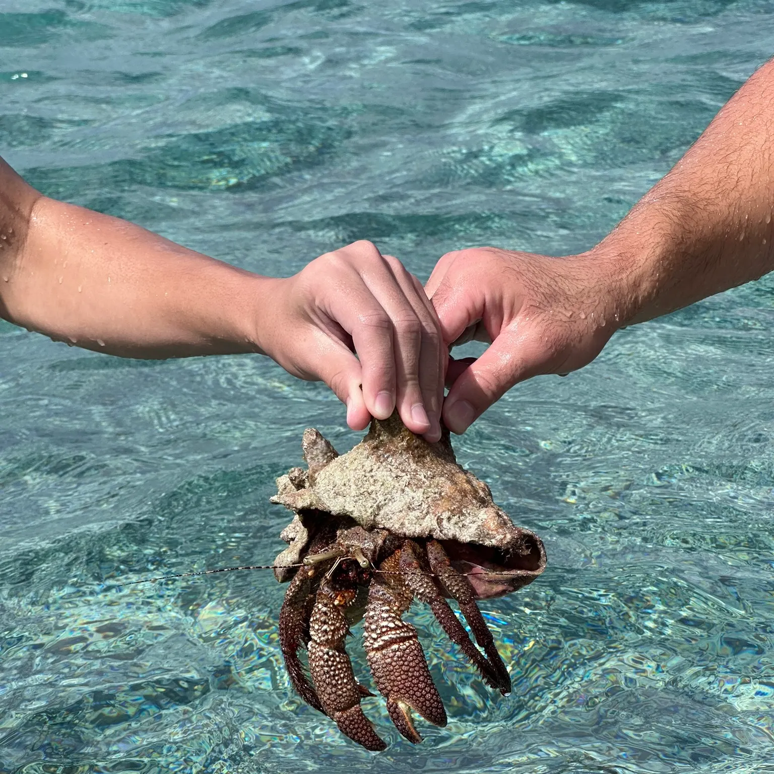 Fish caught on Fishbrain