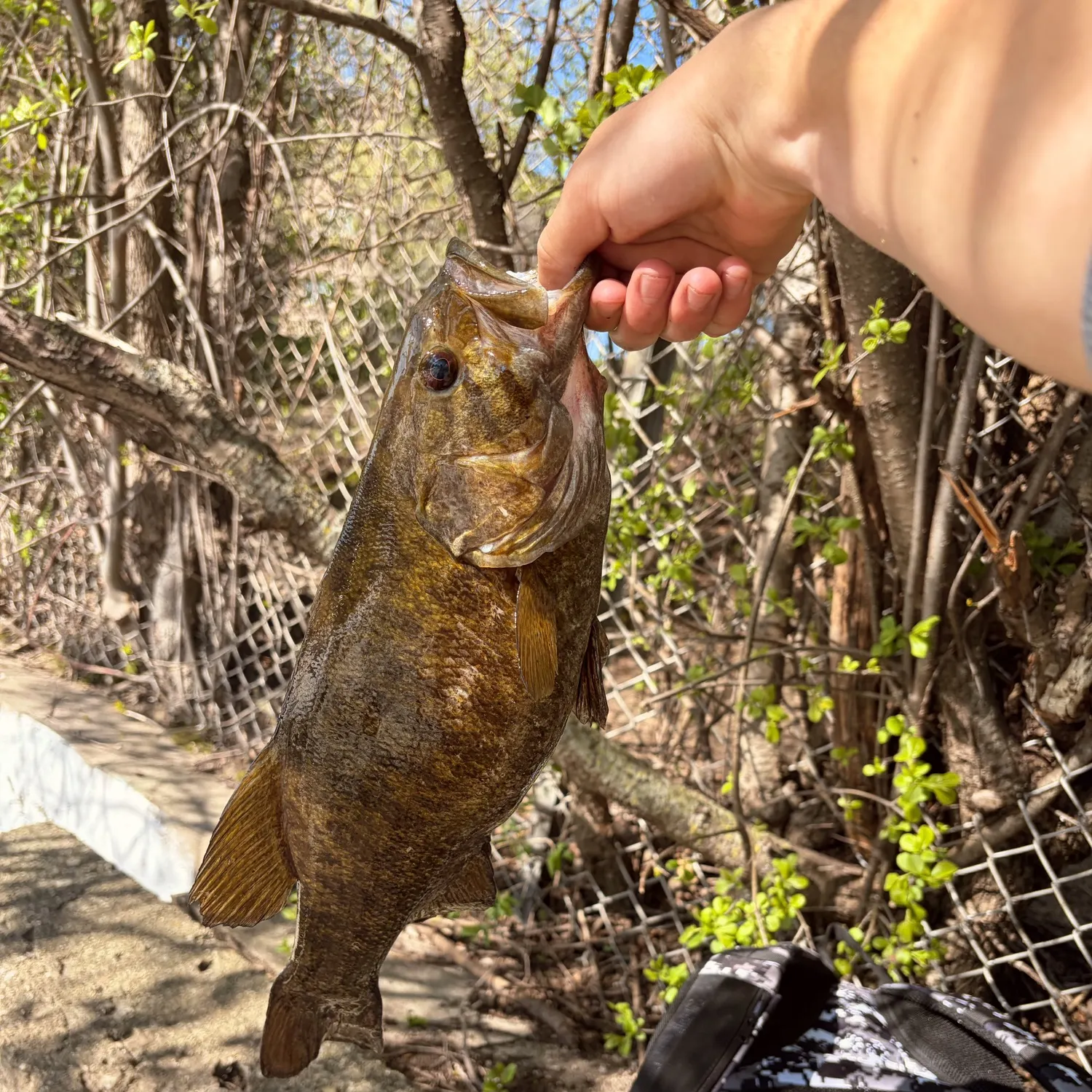 catch