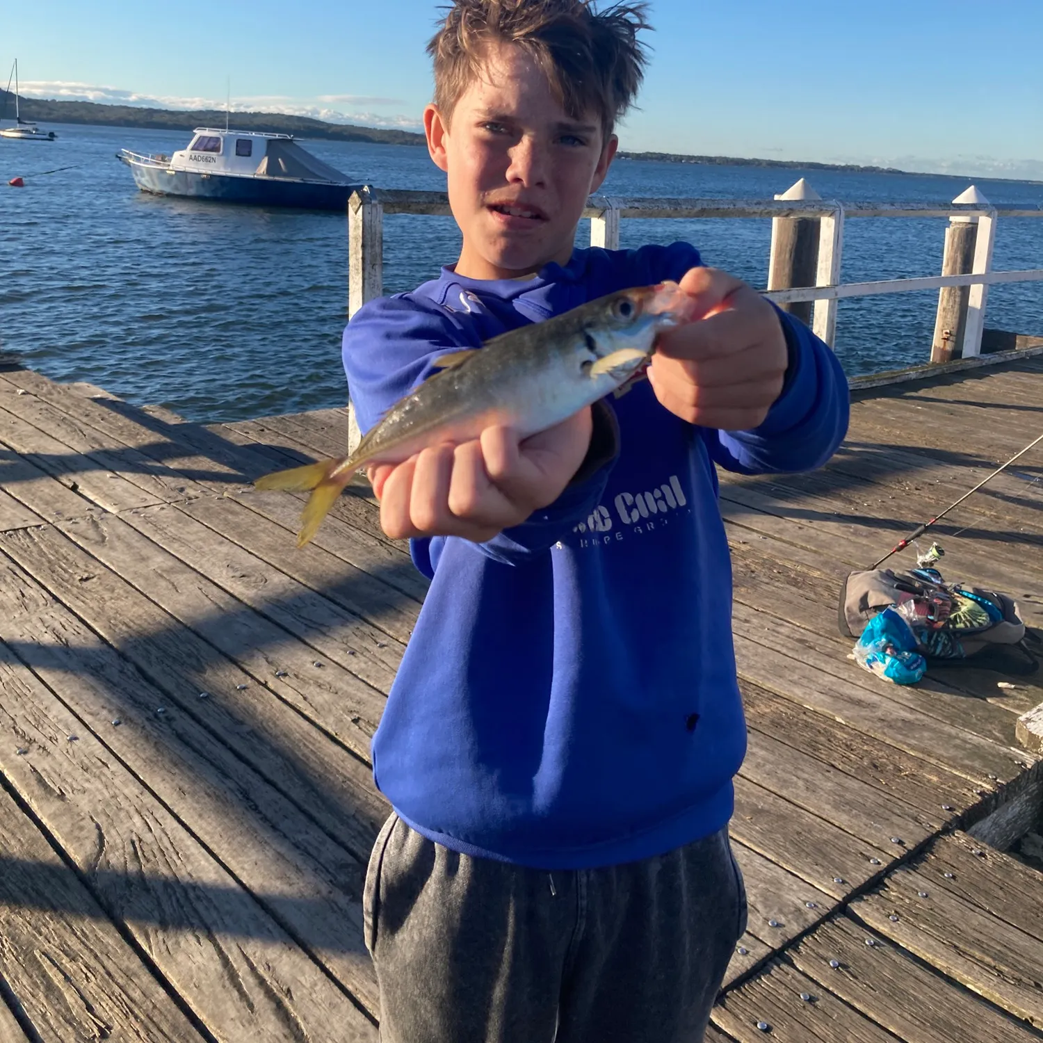 The most recent Yellowtail scad catches on Fishbrain