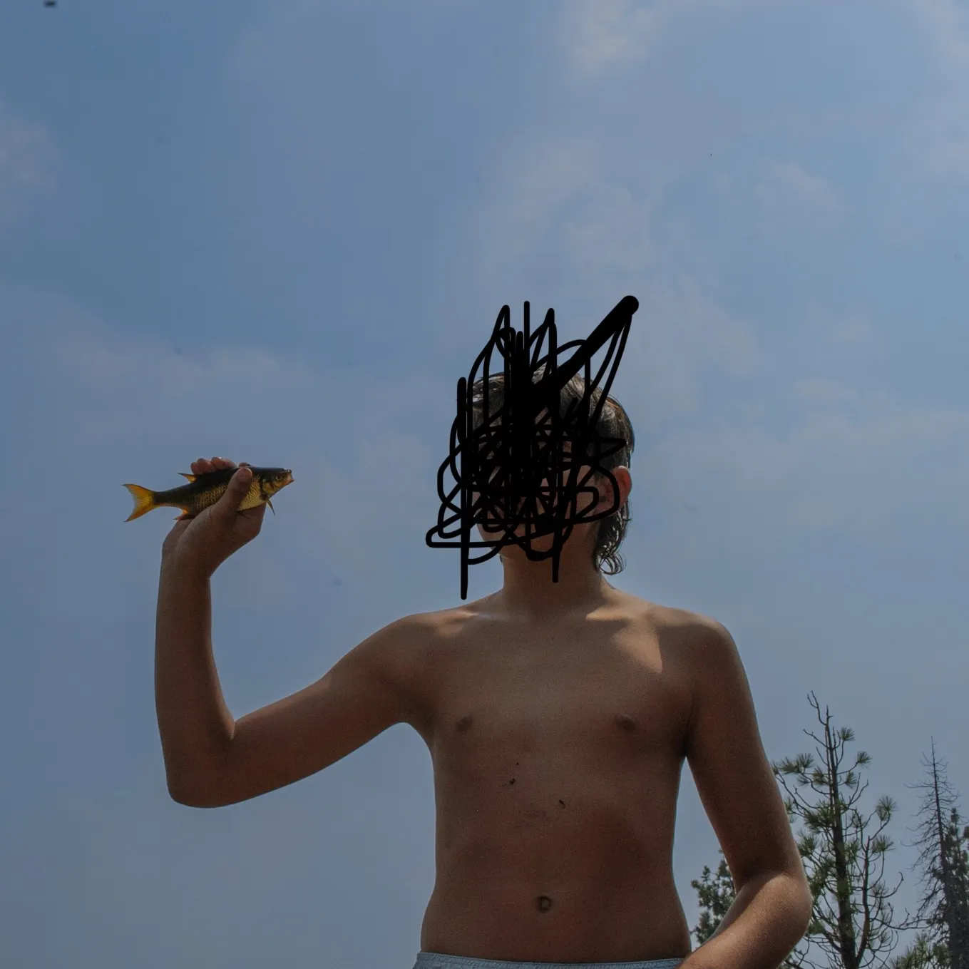 The most recent Golden shiner catches on Fishbrain