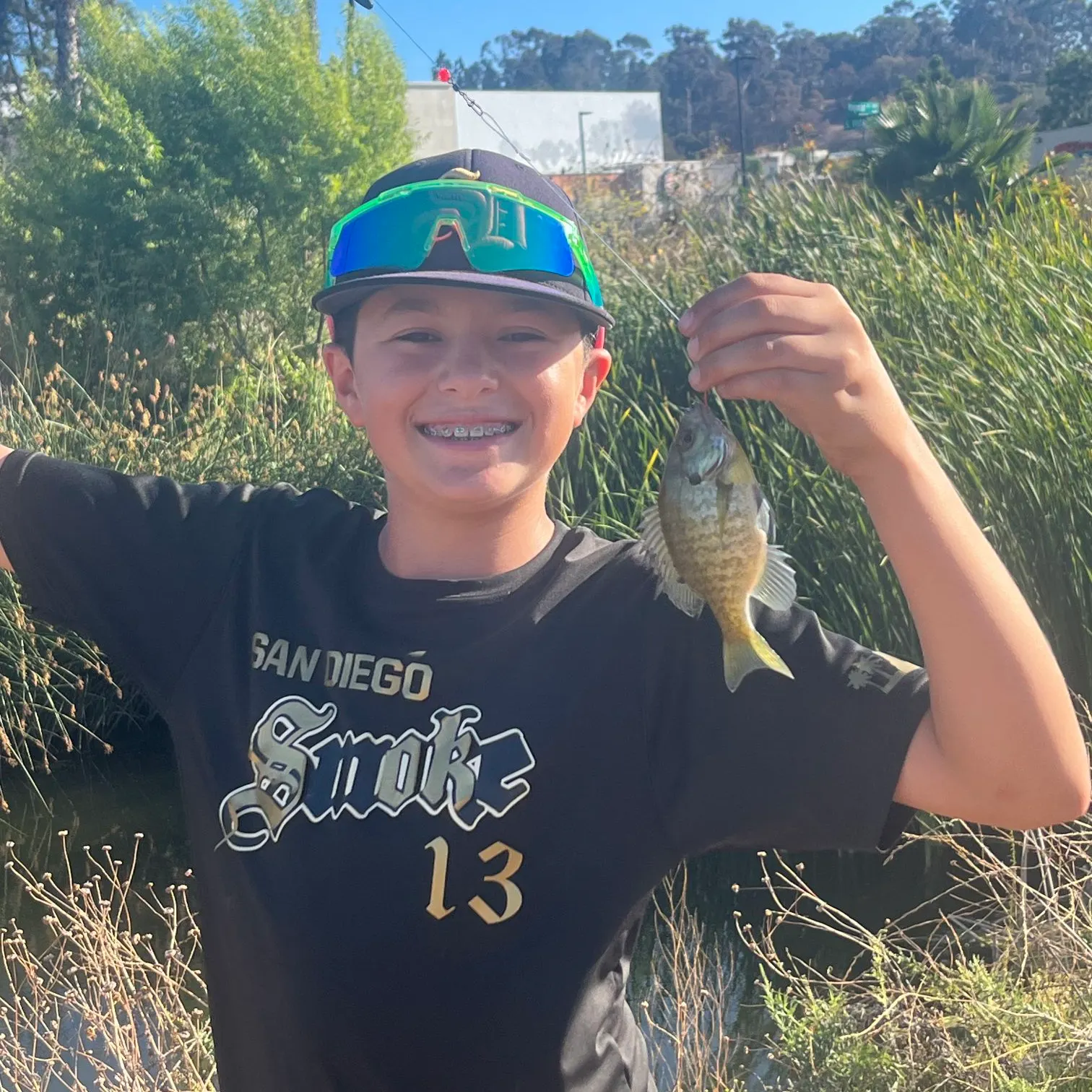 Bluegill caught on Fishbrain