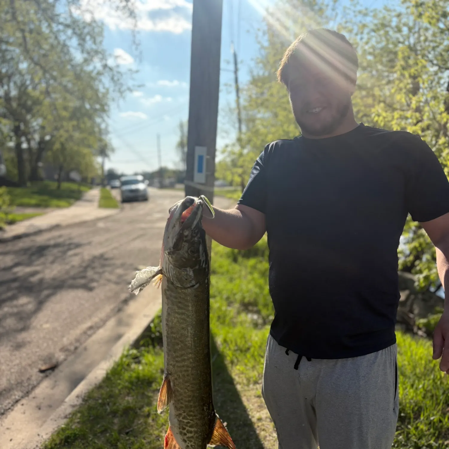 catch