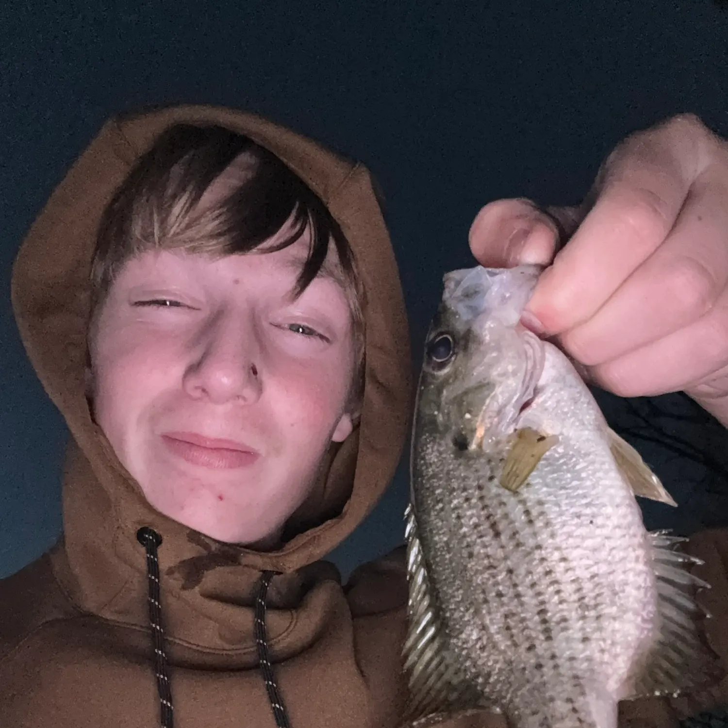 Rock bass caught on Fishbrain