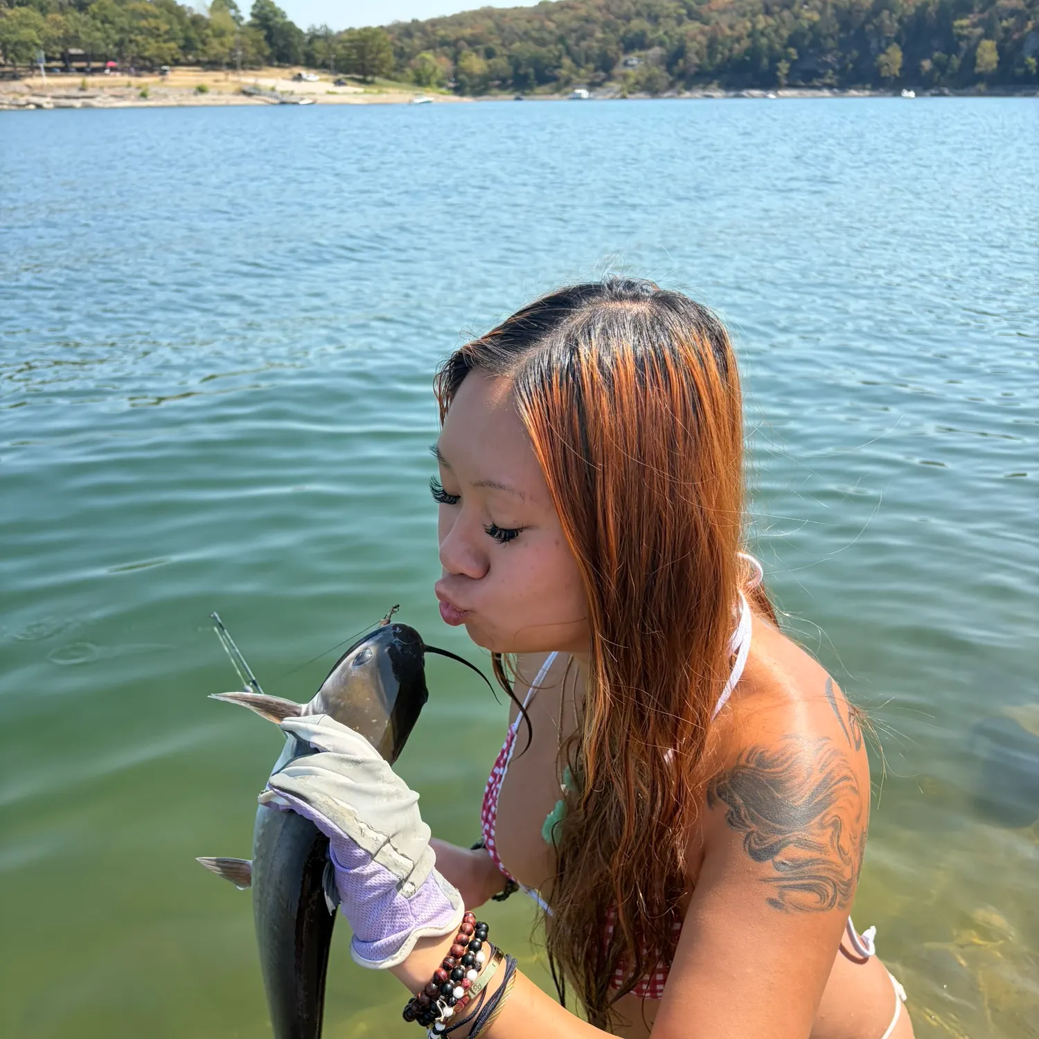 Channel catfish caught on Fishbrain