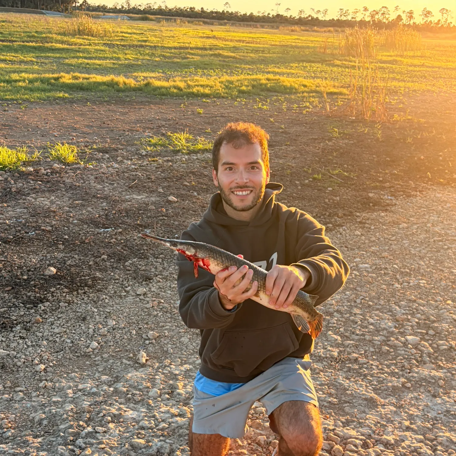 The most recent Florida gar catches on Fishbrain