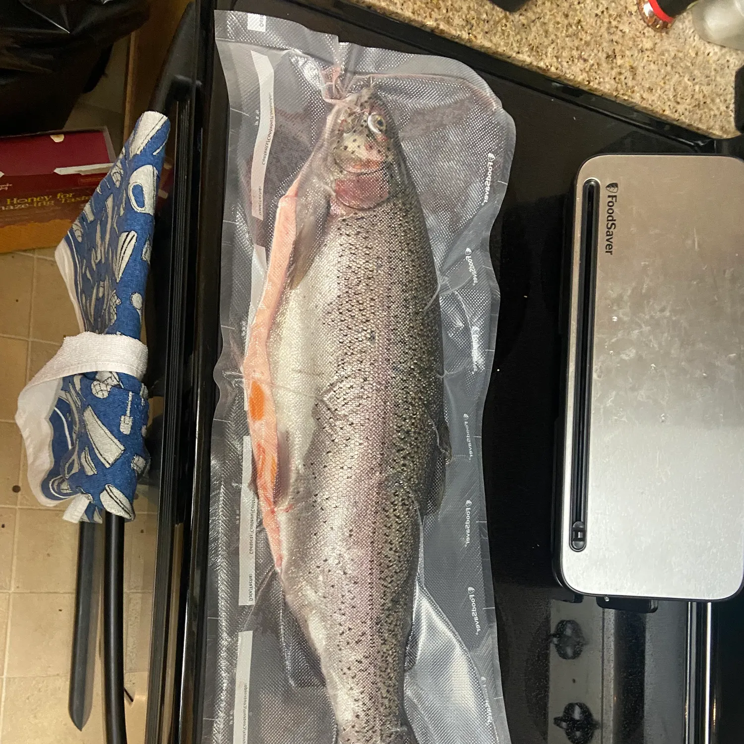 The most recent Rainbow trout catches on Fishbrain