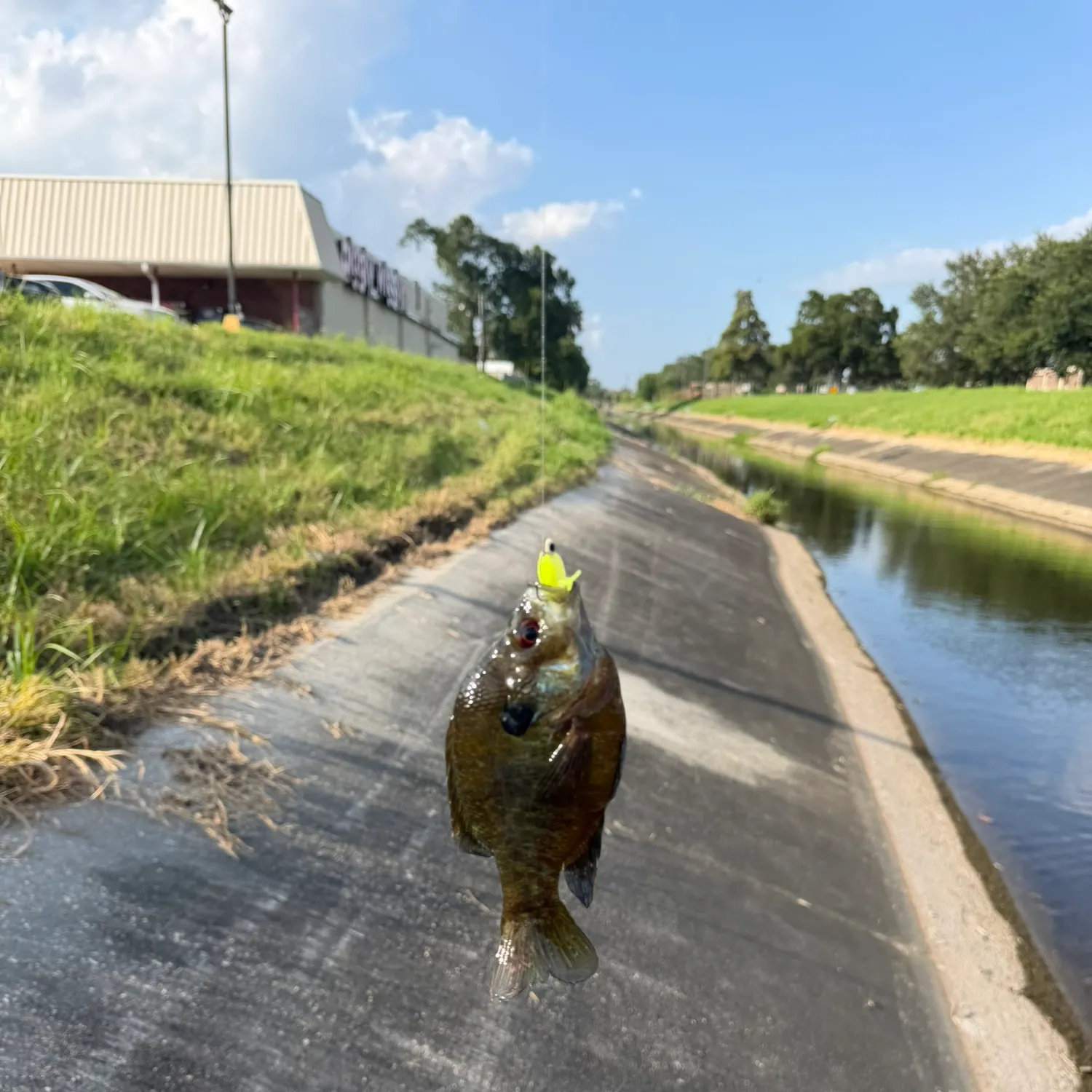 catch