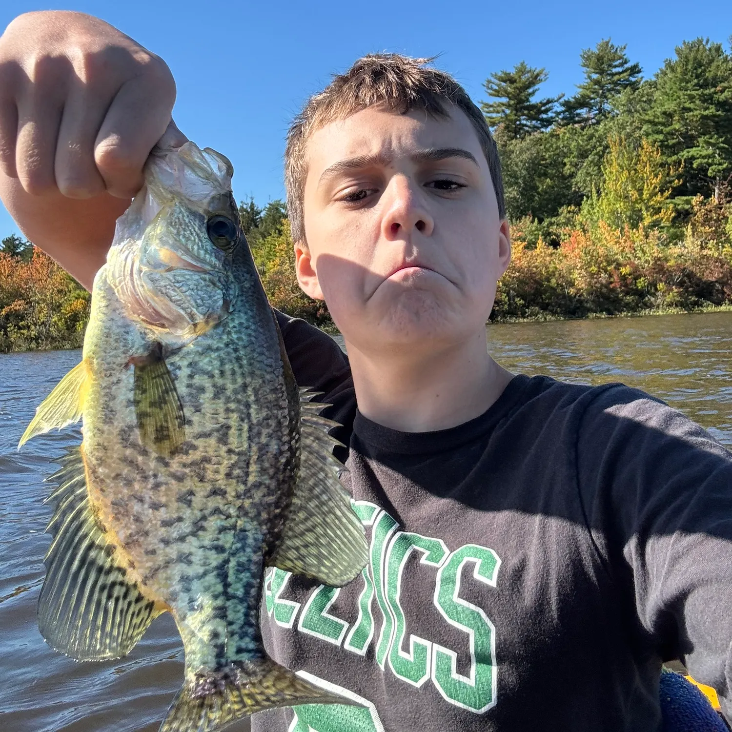 Black crappie caught on Fishbrain