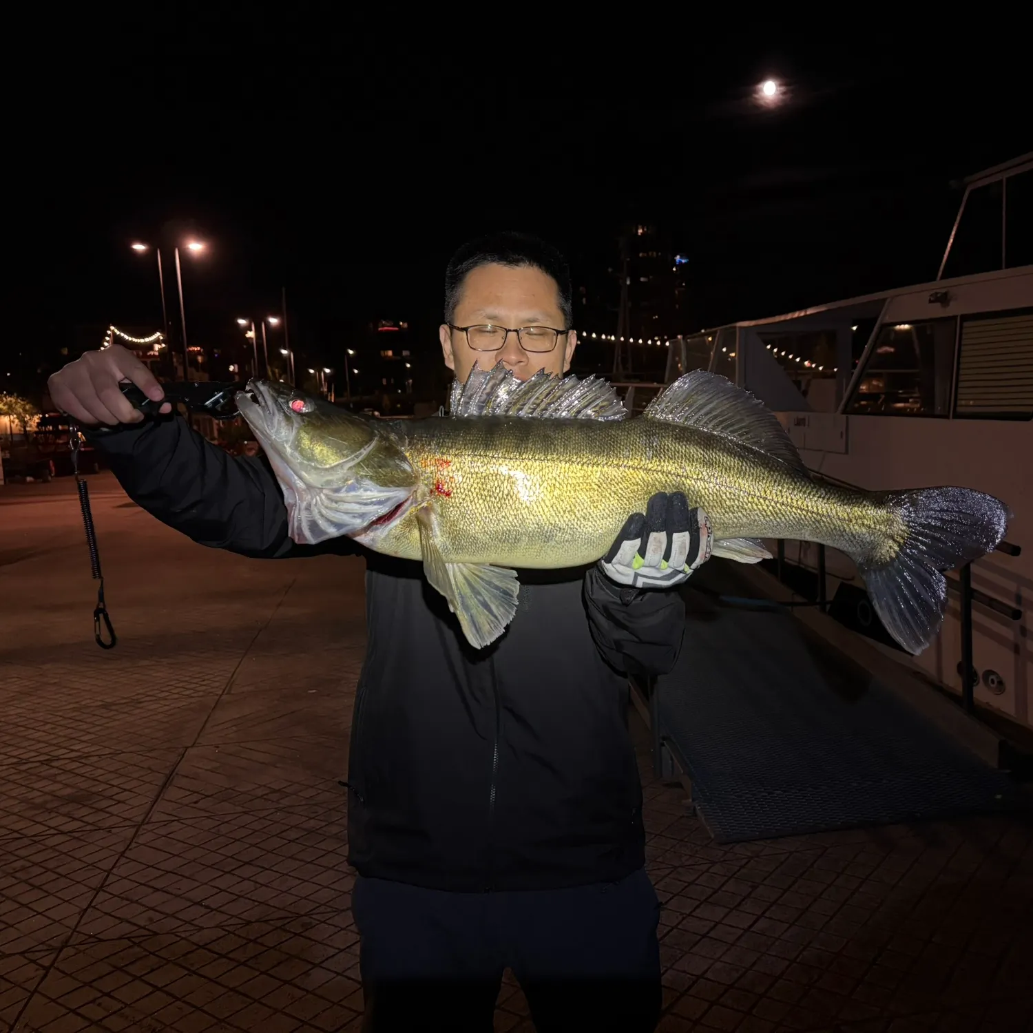 Zander caught on Fishbrain