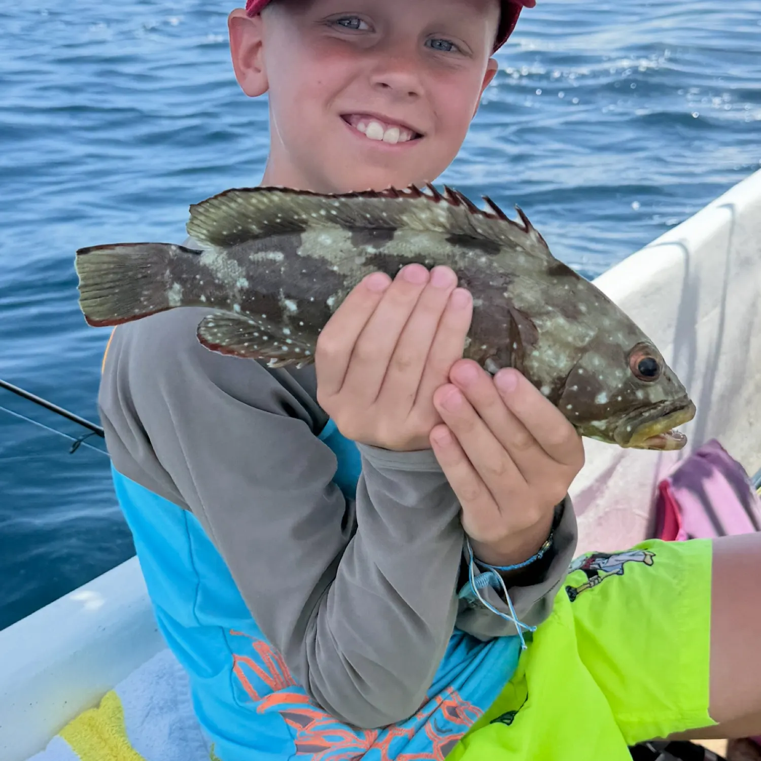 The most recent Starry grouper catches on Fishbrain