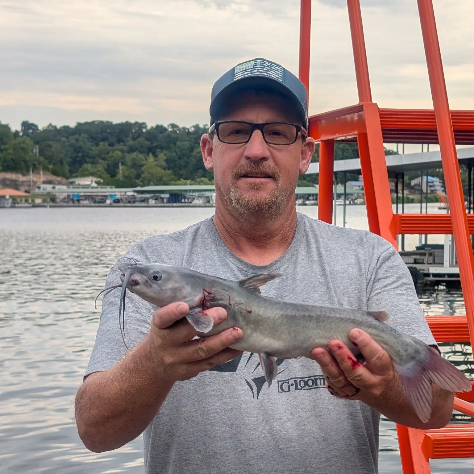 Channel catfish caught on Fishbrain
