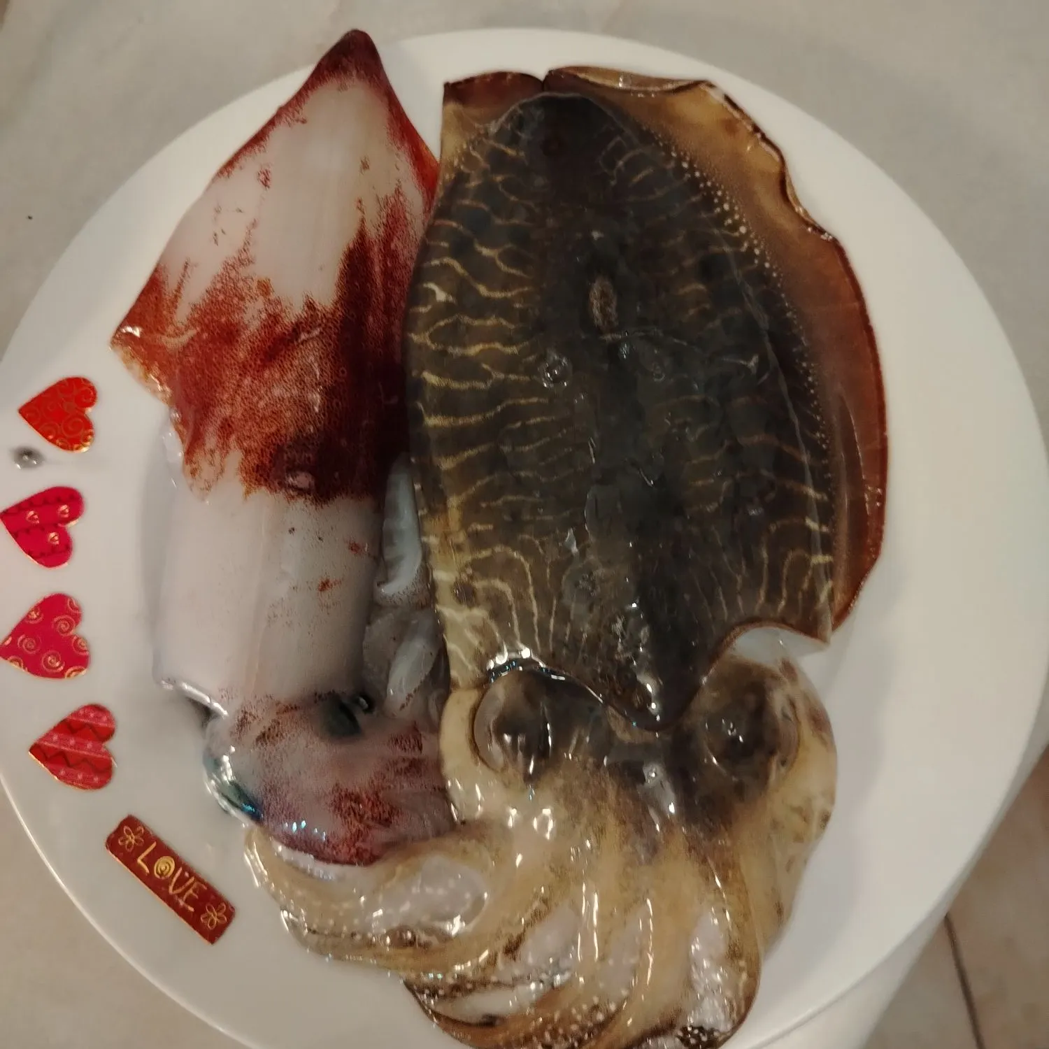 The most recent Common cuttlefish catches on Fishbrain