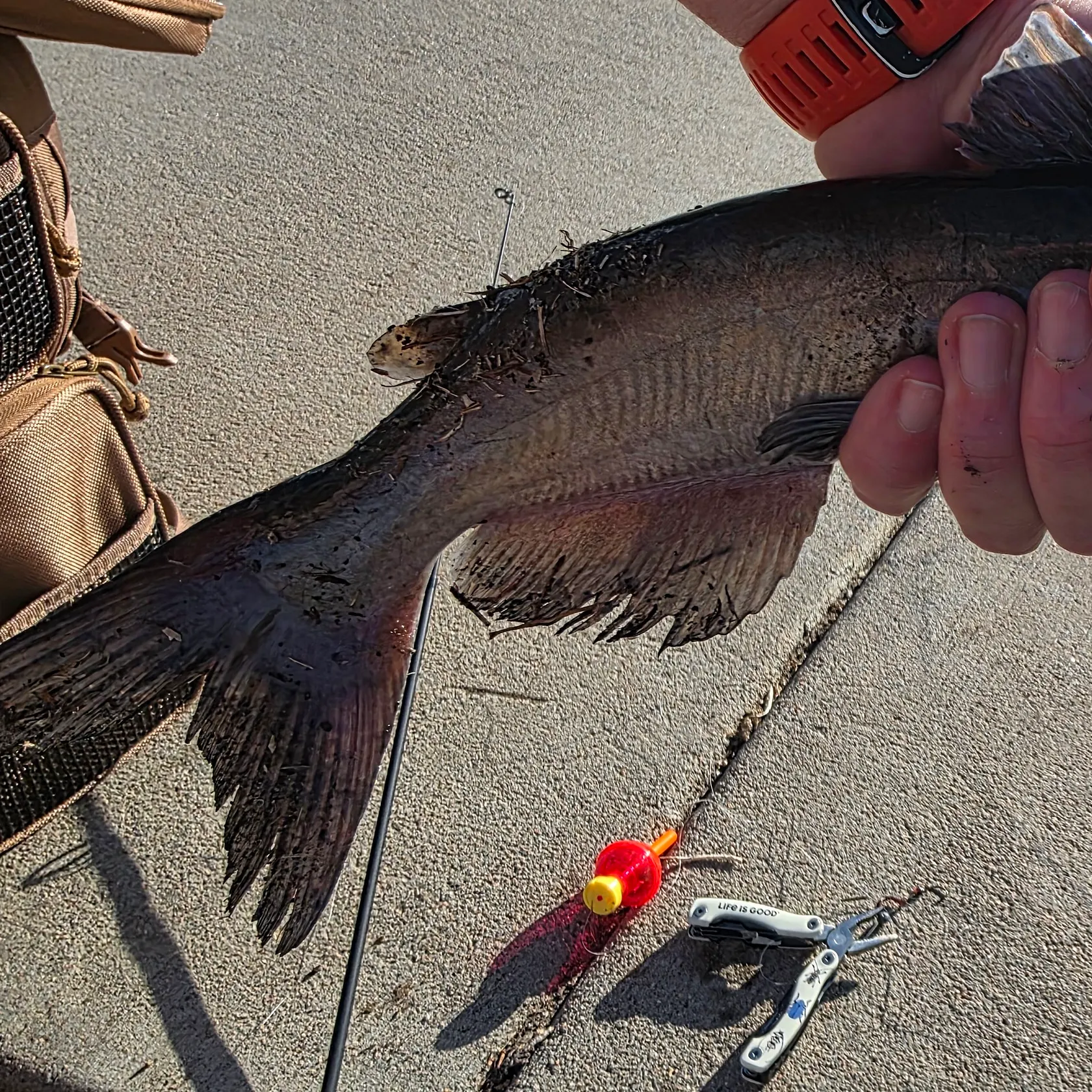 catch