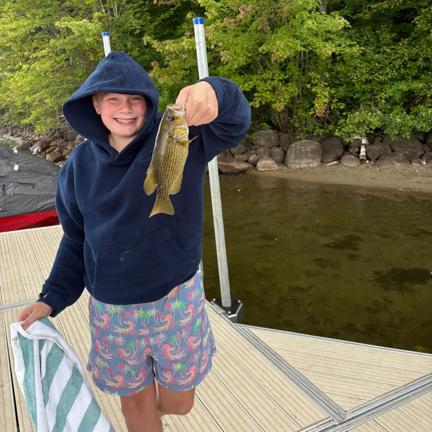 Rock bass caught on Fishbrain