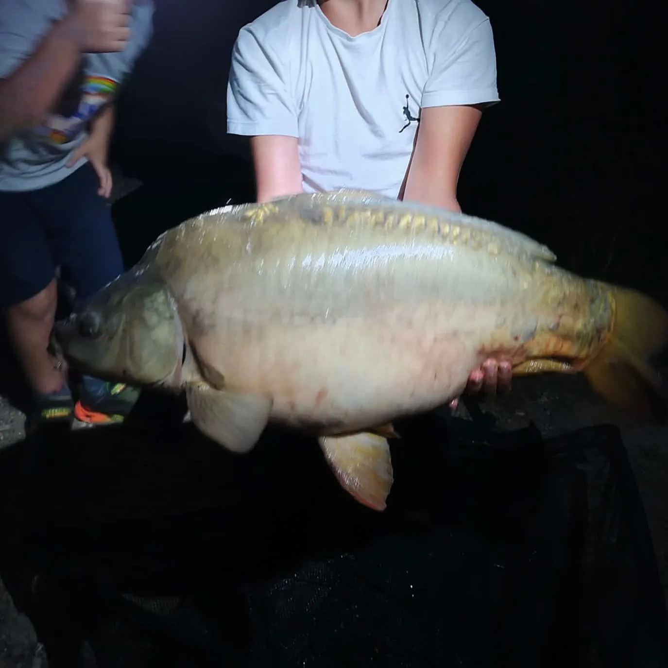 Leather carp caught on Fishbrain