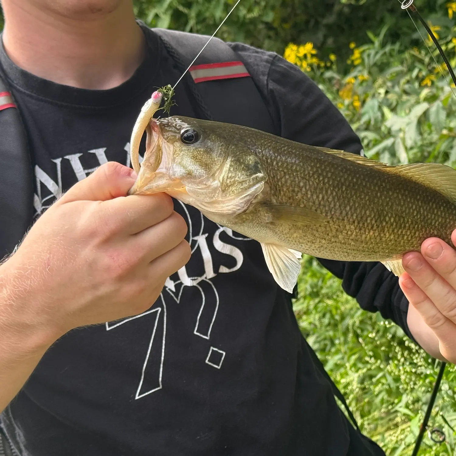 Fish caught on Fishbrain