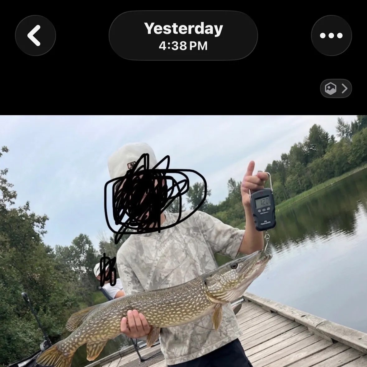 recently logged catches