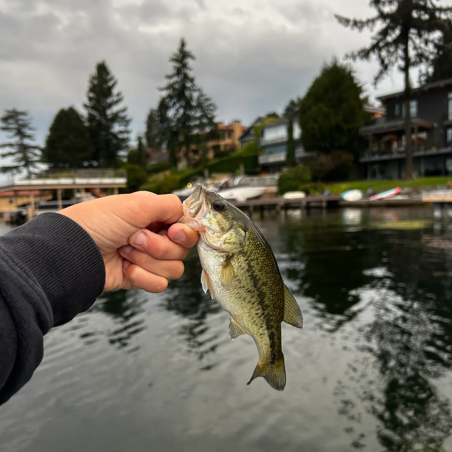 Fish caught on Fishbrain