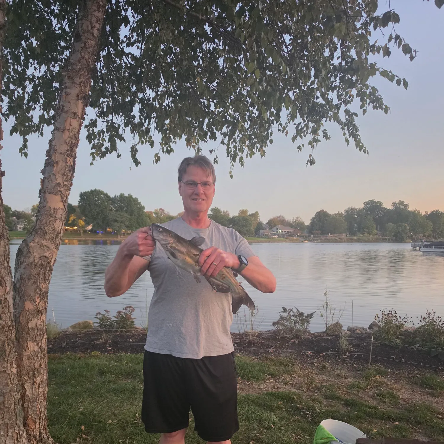 Blue catfish caught on Fishbrain