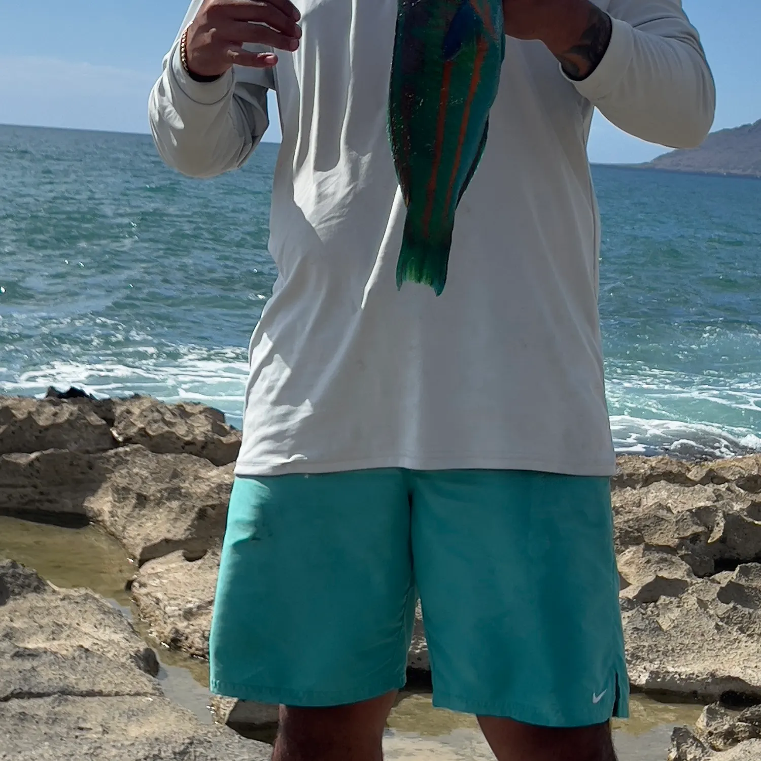 The most recent Ember parrotfish catches on Fishbrain