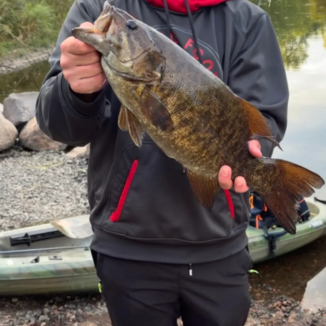 Smallmouth bass caught on Fishbrain
