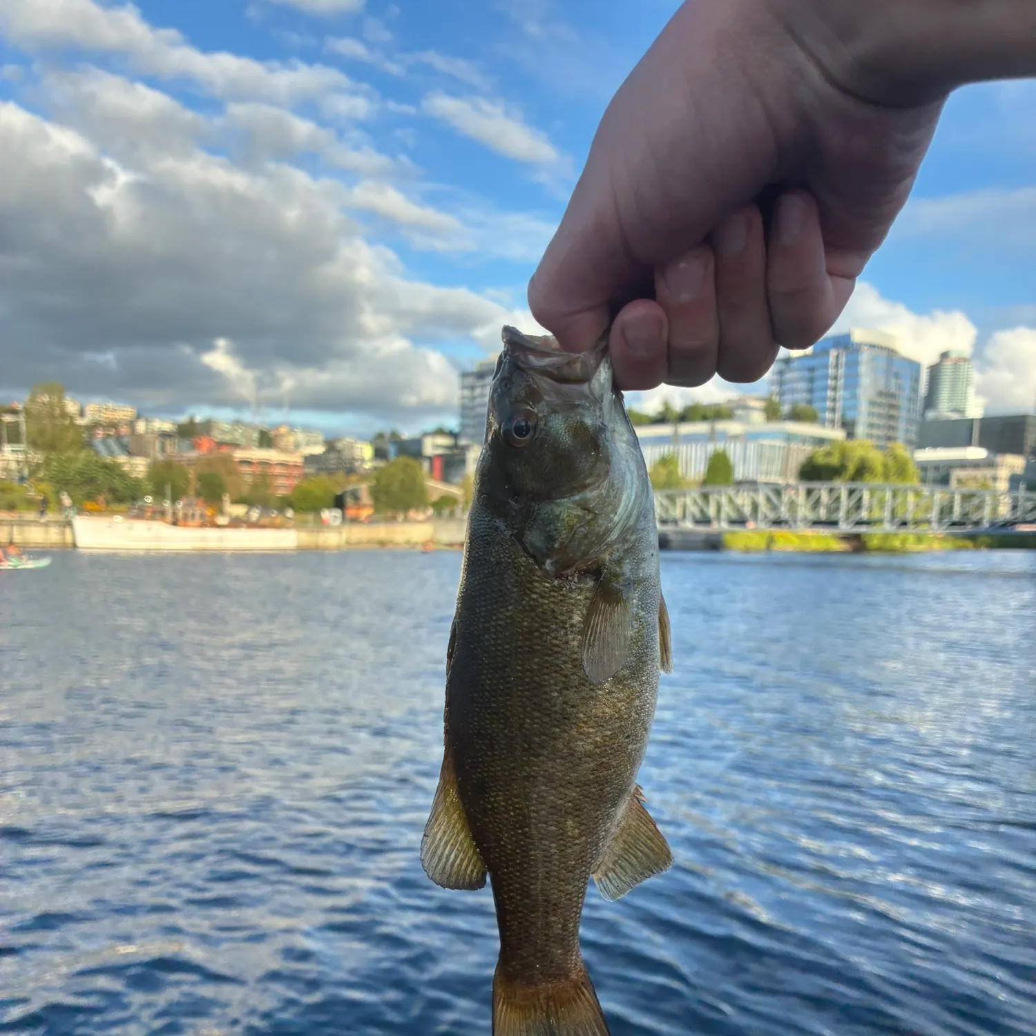 catch