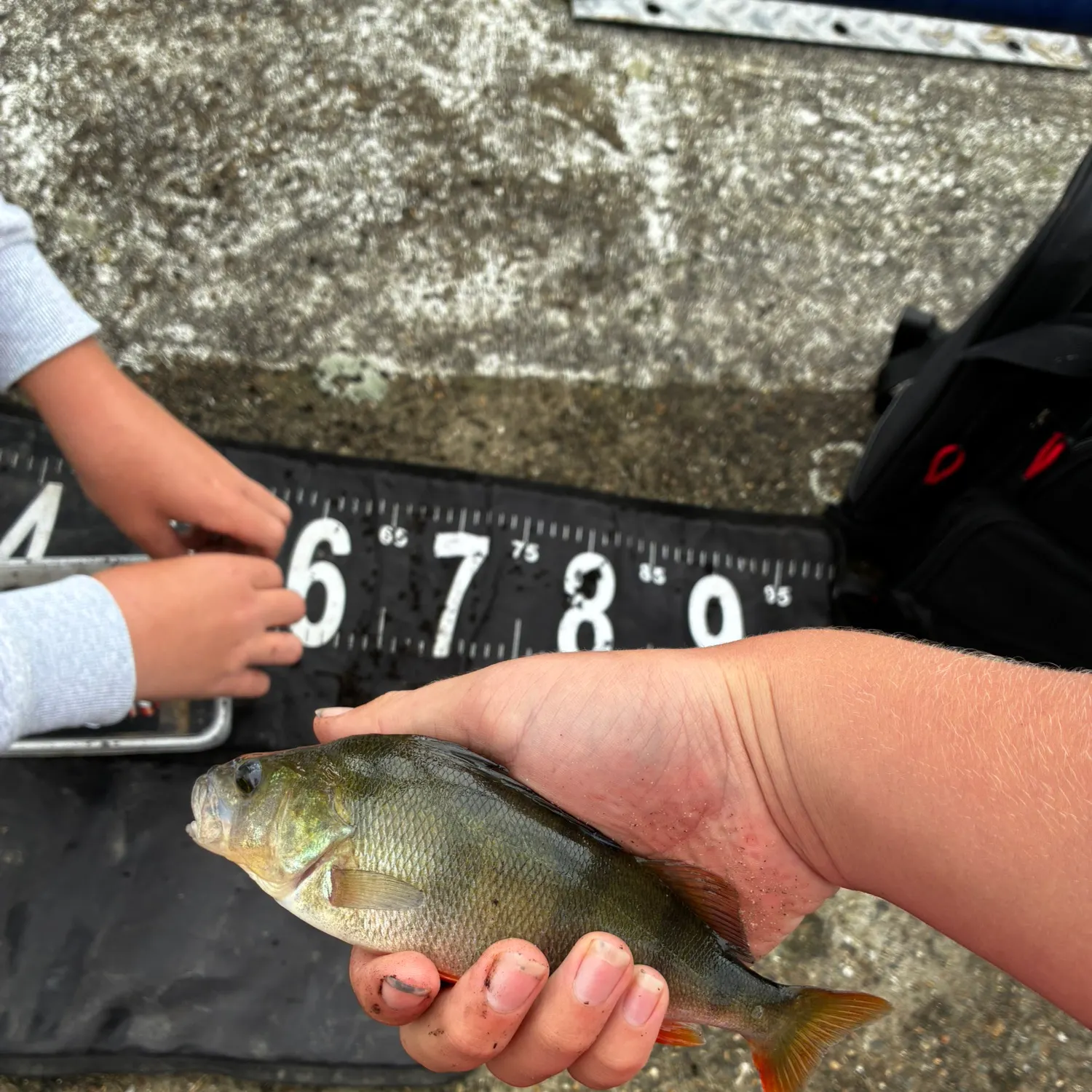 catch
