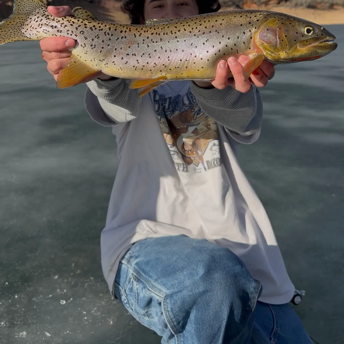 The most recent Bear Lake cutthroat trout catches on Fishbrain