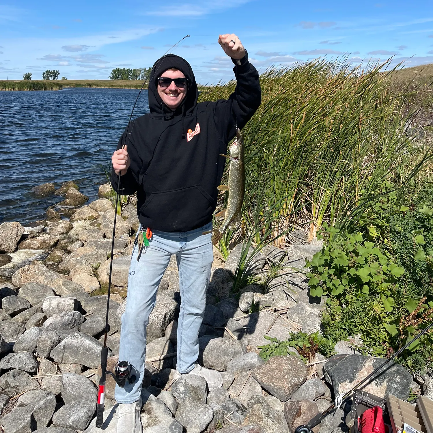 Northern pike caught on Fishbrain