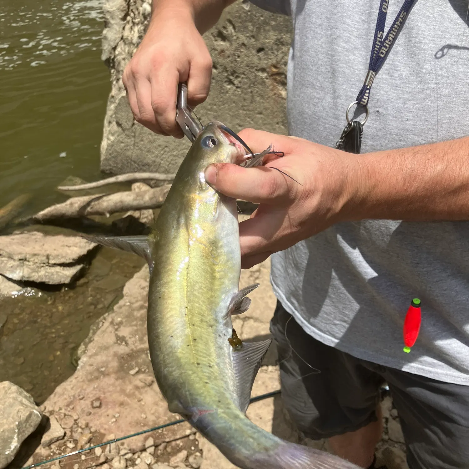 catch