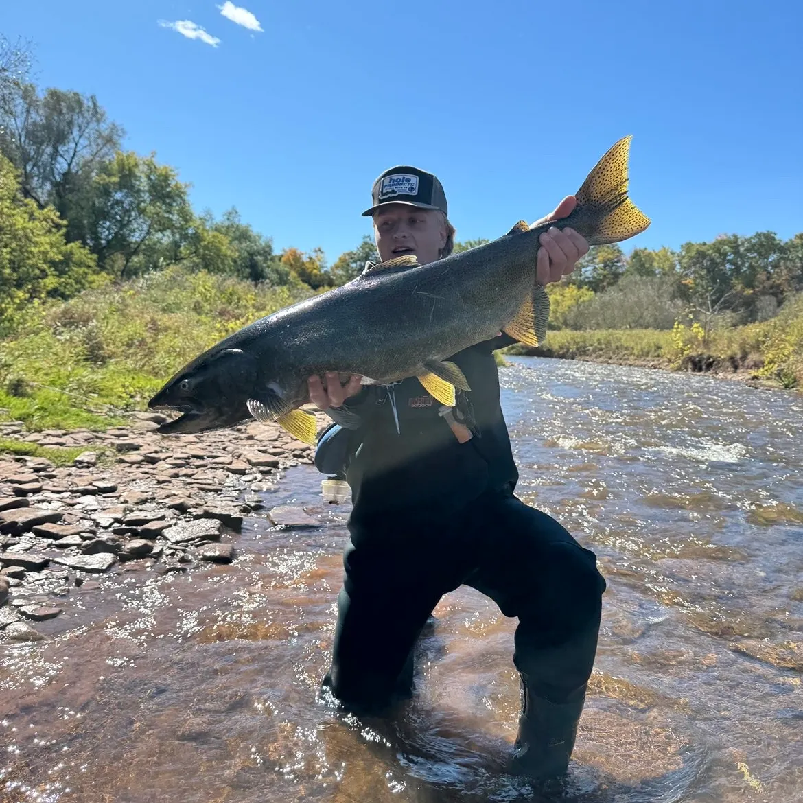 Chinook salmon caught on Fishbrain